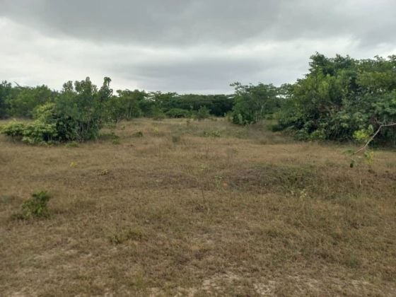 Terreno en venta, 81834m2, en Songon Audouin Santé, cerca del mar 