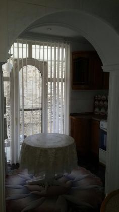 1 BDR apt for rent in city center