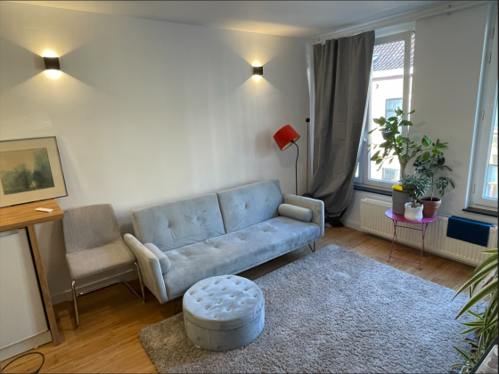 Furnished Apartment for rent