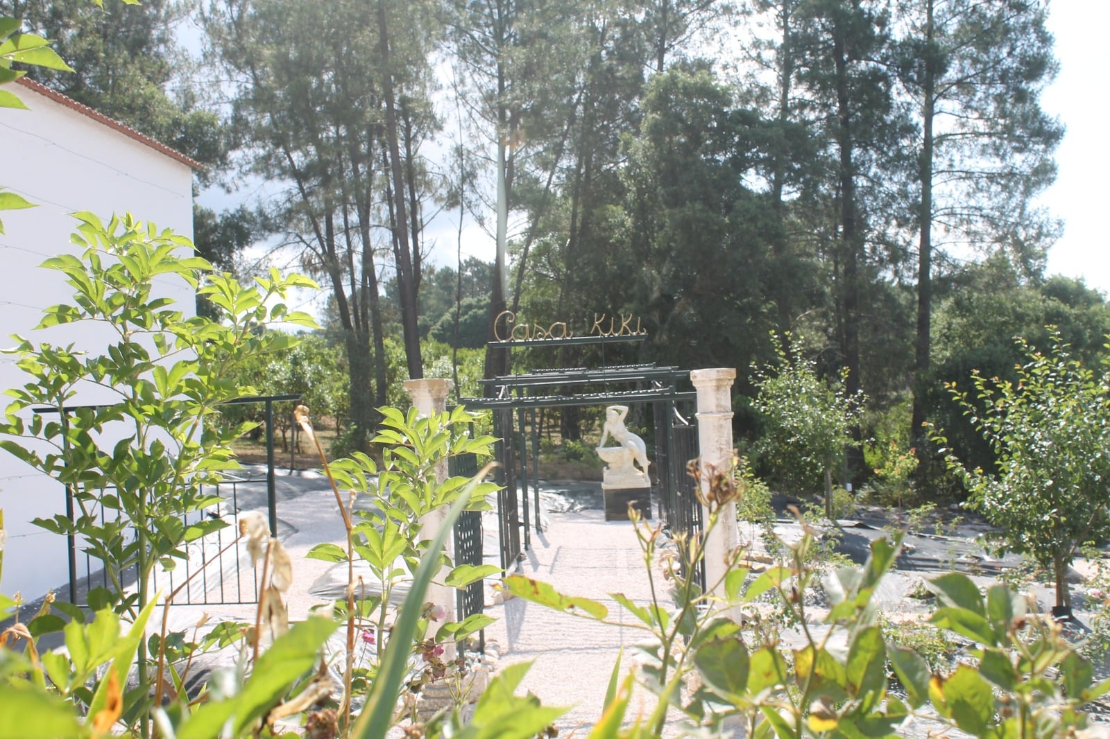 Quinta avec sa roseraie