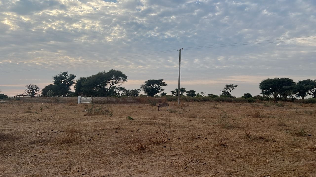Terrains de 225 mètres carrés à vendre à Babel Sénégal