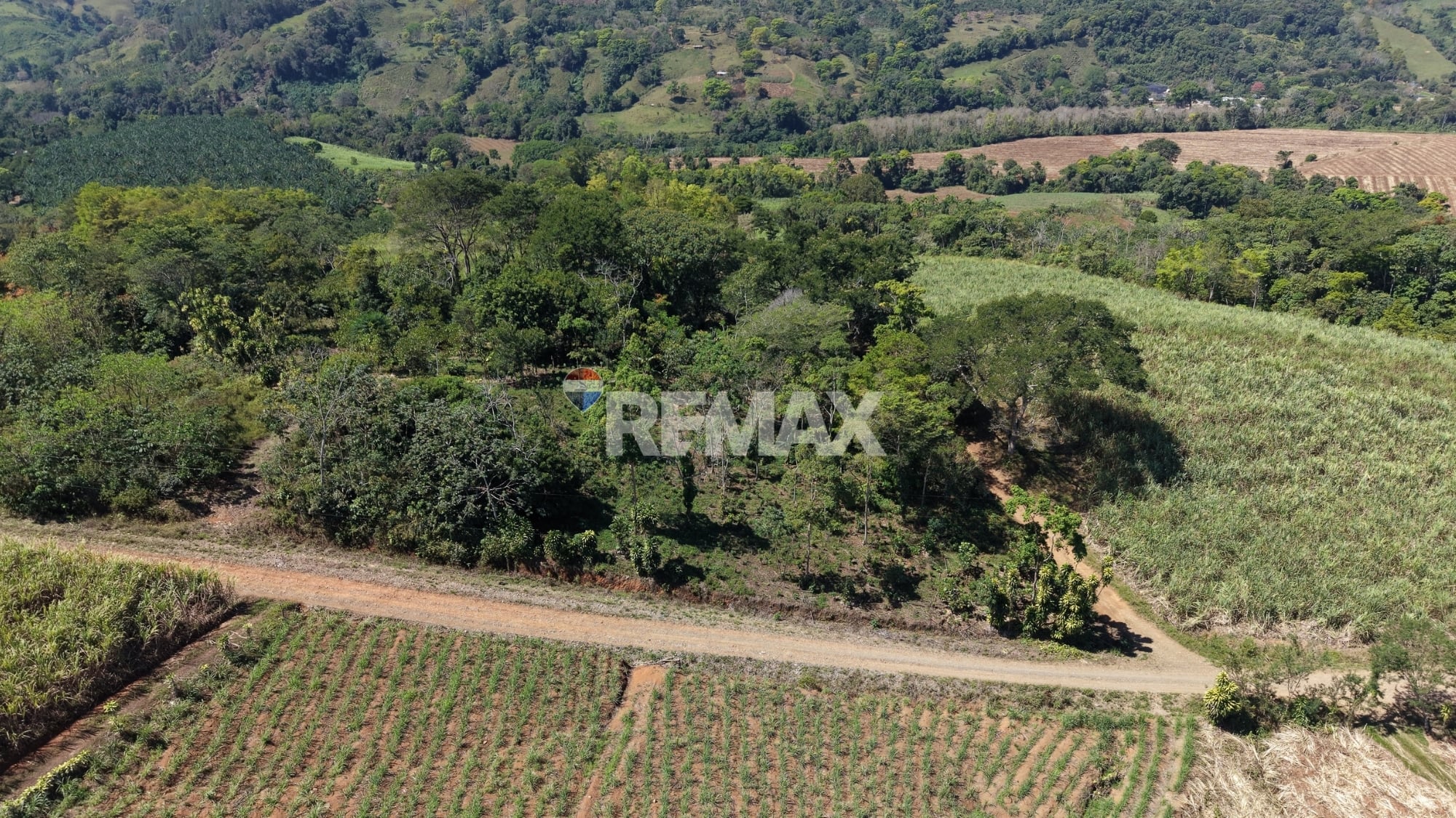 LAND FOR SALE IN LAS MERCEDES DE CAJÓN, PÉREZ ZELEDÓN – 10,718 m² WITH MOUNTAIN VIEWS AND FRUIT TREES