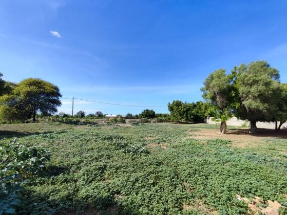 A VENDRE : Terrain d'exception de 2750 m² à Mangily – ...