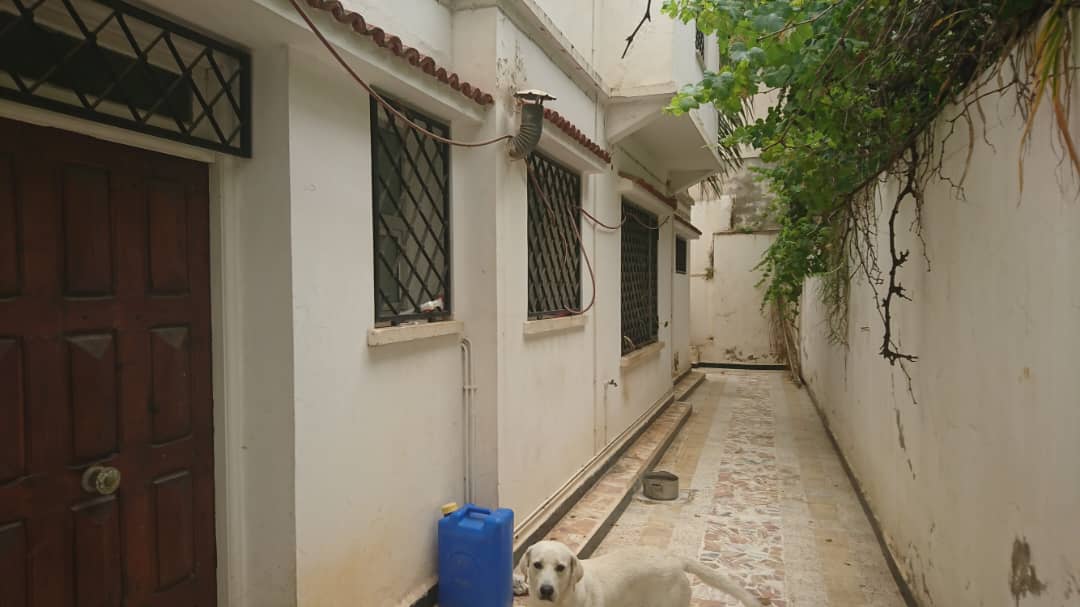 Adresse d'exception à Hydra – Rue des Crêtes, à quelques pas du vibrant quartier Sidi Yahia