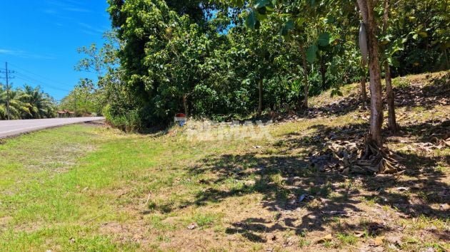 LAND FOR SALE IN TAWAL, OSA – 5,029 m² MIXED-USE LOT WITH MAIN ...