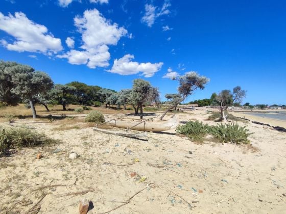 Réf : VT/23031 – Opportunité Rare : Terrain Pieds dans ...