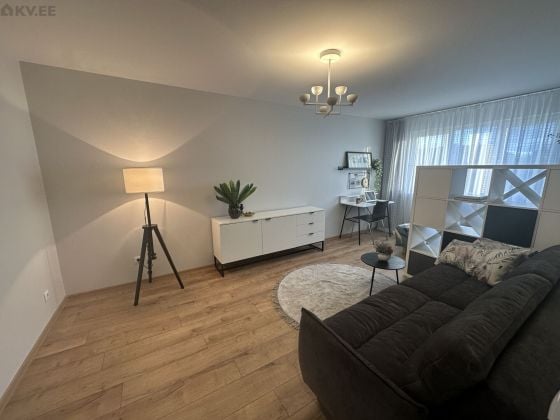 Narva Mnt, Ida-Viru Maakond, Jõhvi Vald, Estonia