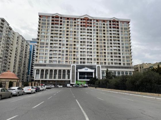 1 BDR flat for rent in Park-Azure