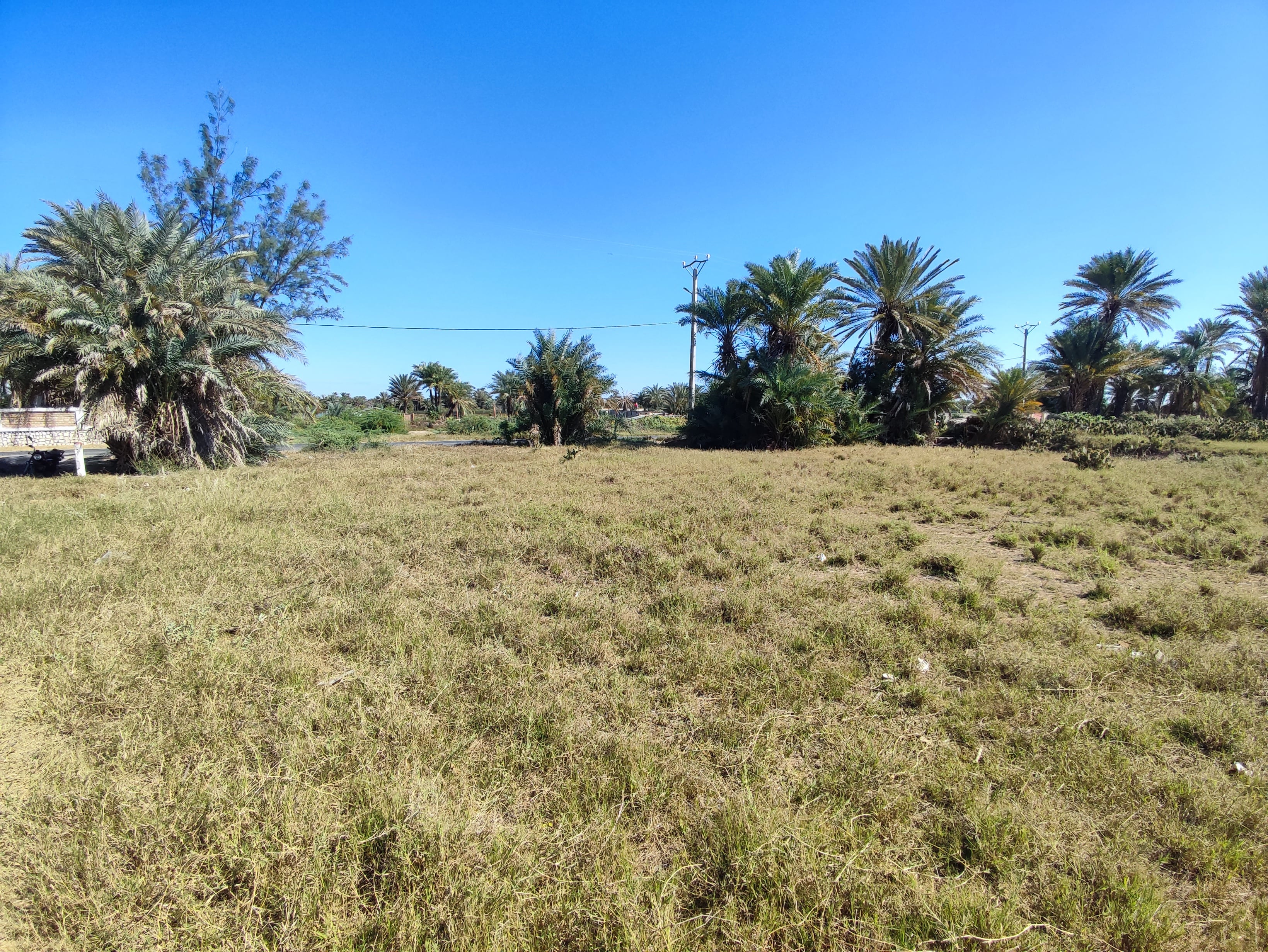 FOR SALE – Flat land along the RN7 highway, Tuléar, MADAGASCAR