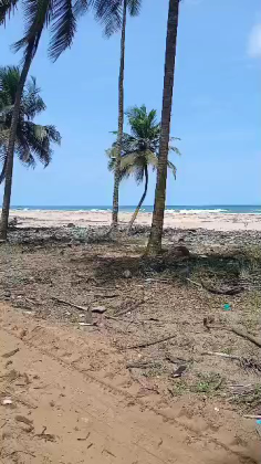 Bordure mer bassam mondoukou 1,5 Hectares en vente 