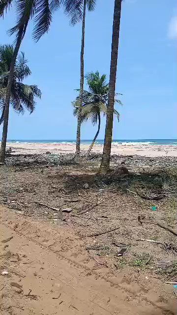 Bordure mer bassam mondoukou 1,5 Hectares en vente 