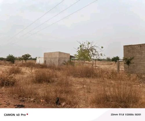 Terrain de 04 hectares en vente a koubri