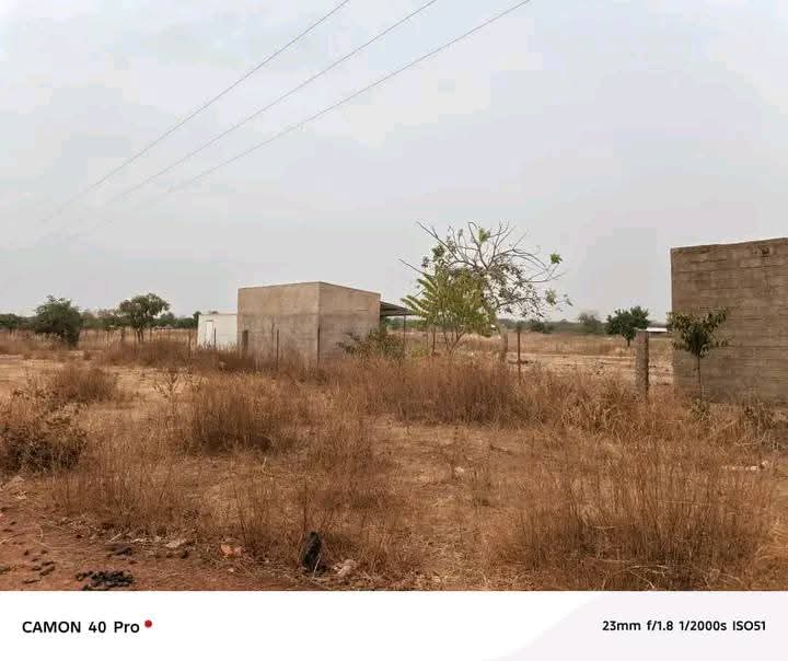 Terrain de 04 hectares en vente a koubri