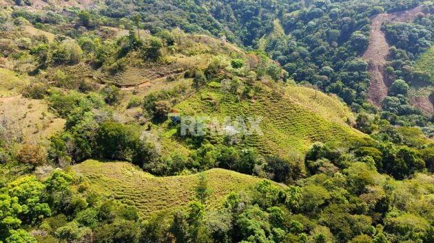 2.8 HA FARM FOR SALE IN SAN LUIS DE MORETE | MOUNTAIN VIEWS AND NEAR THE ...