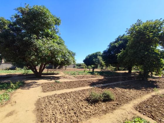 À VENDRE – Terrain plat arboré de 1 700 m² ...