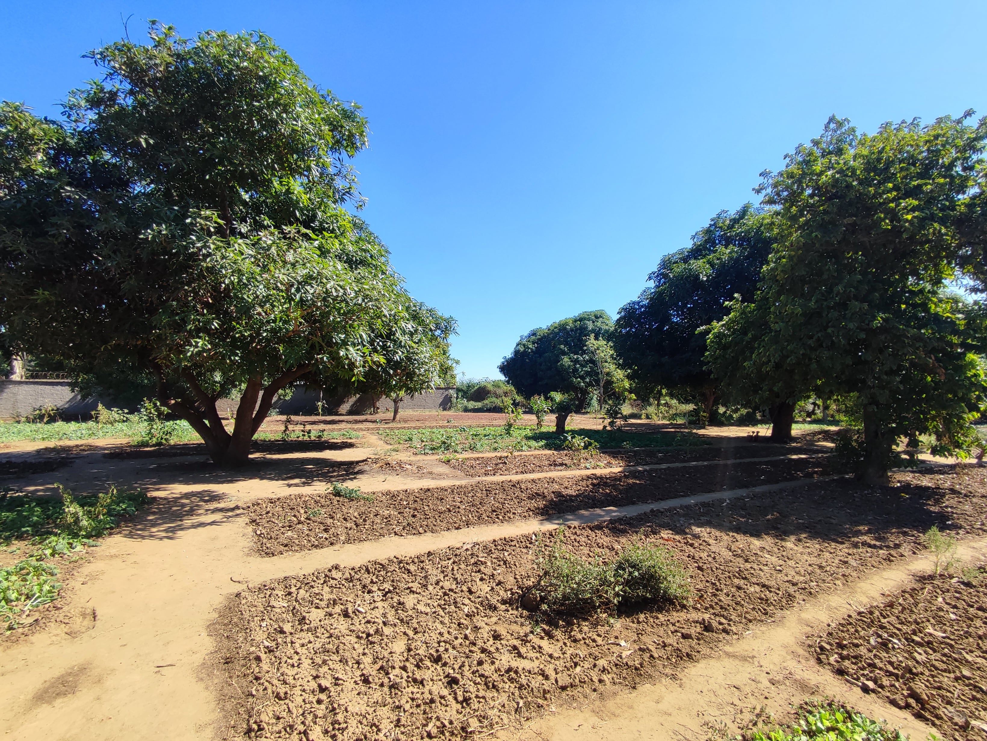 À VENDRE – Terrain plat arboré de 1 700 m² à Antsihanaka (Toliara II) – Réf : VT/23002