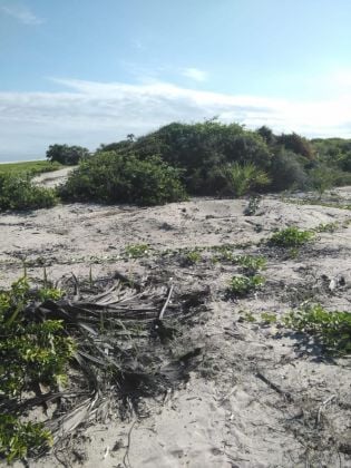 TERRAIN DE 10 HA  BORD DE LA MER A ANTSANITIA MAHAJANGA 