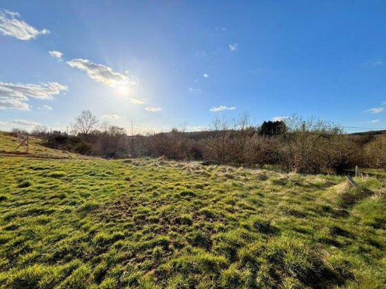 Belgique 6890 Anloy : terrains à bâtir pour maisons 4 ...