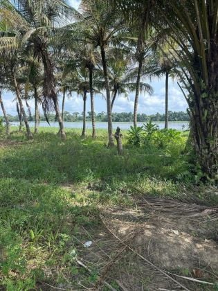 Terrain 1000 M2 Bordure d'eau Yaou ekressinville non loin de bassam 