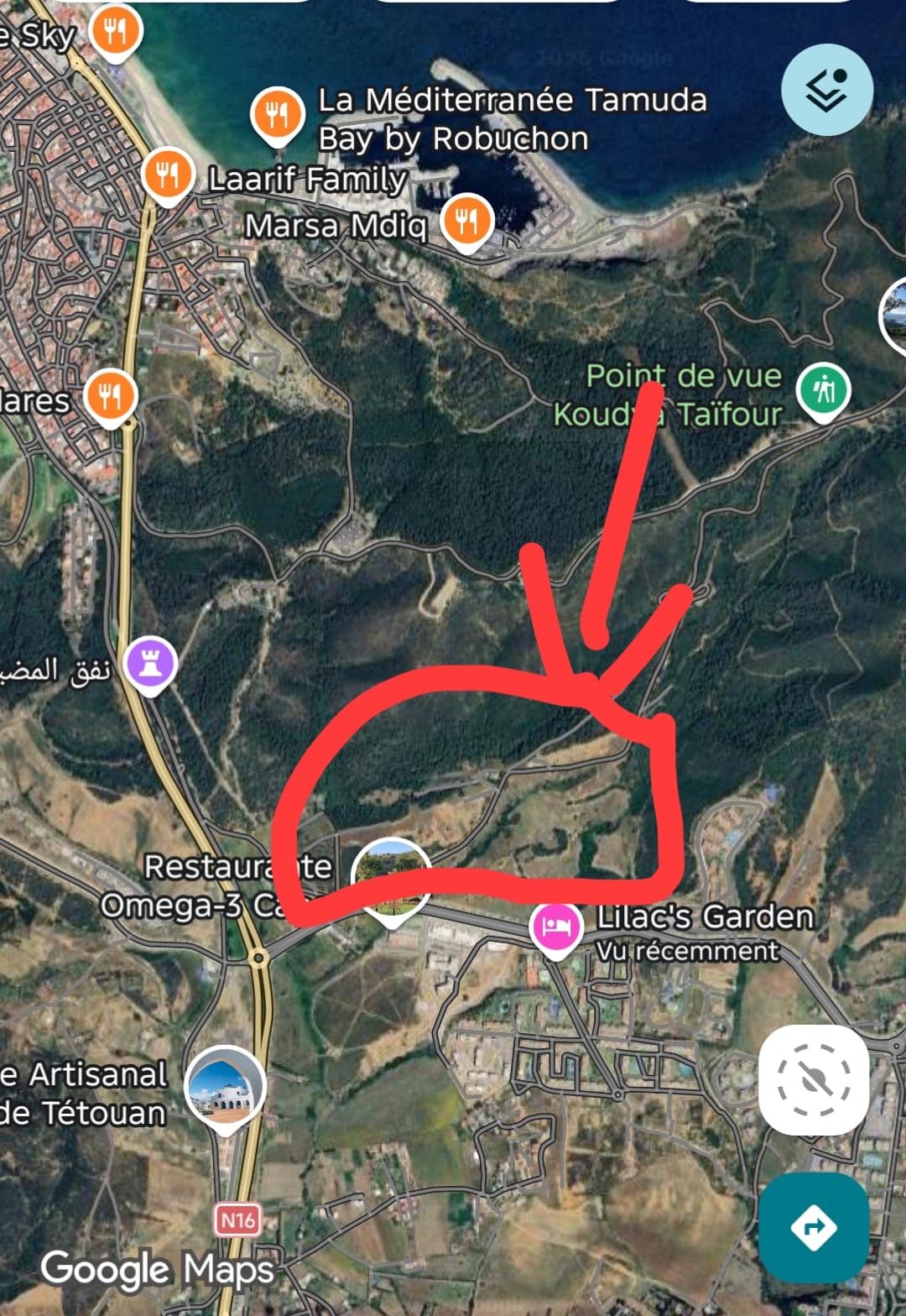 terreno en venta de 33 hectarias en cabo negro mdique
