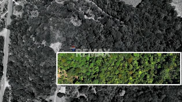 LOTE DE 1 HECTÁREA CON BOSQUE PRIVADO EN LAS MERCEDES DE ...