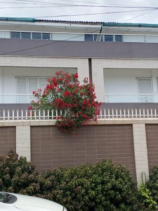 Villa con piscina en Kodjoviakopé