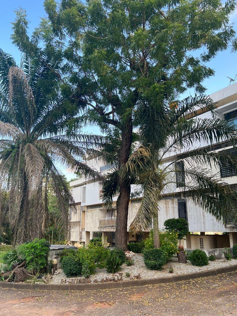 MISE EN LOCATION D'UN APPARTEMENT A LA RIVIERA GOLF