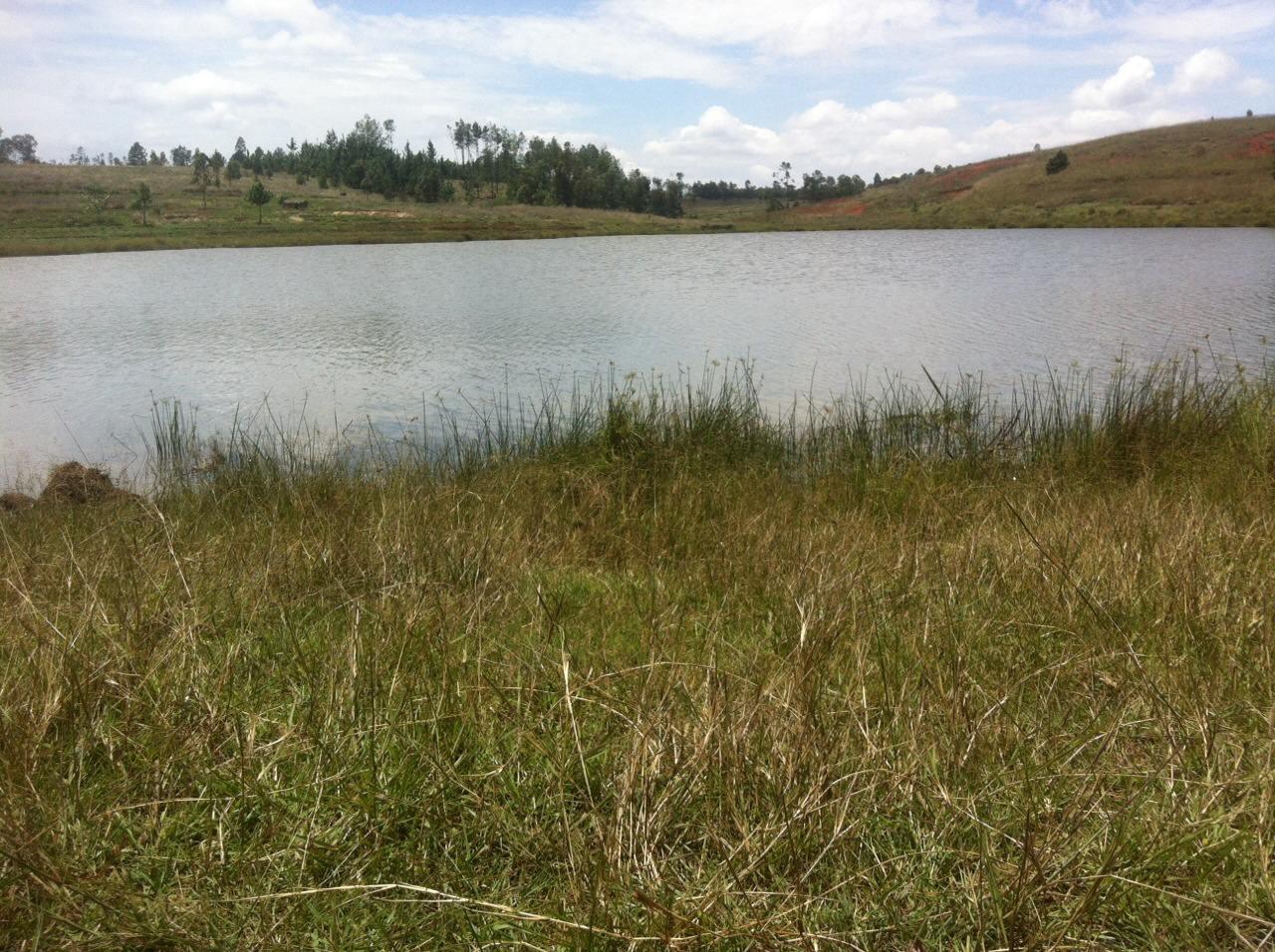 BEAU TERRAIN EN BORD DE LAC - 9 ha - Borné & Titré