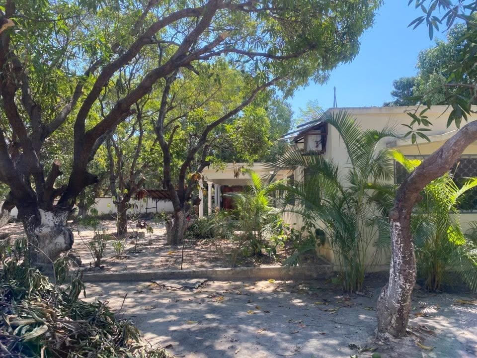 Terrain titré borné à vendre 