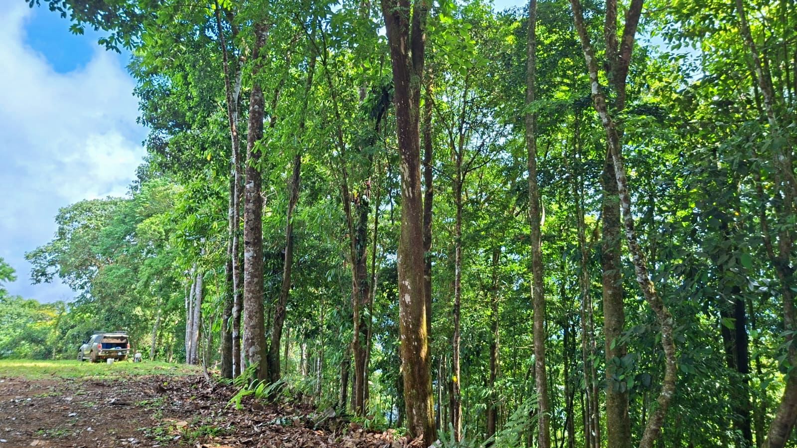 UNIQUE OPPORTUNITY IN UVITA – WHALE TAIL VIEW &#55356&#57098