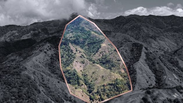 SE VENDE LA FINCA HERRADURA: RESERVA FORESTAL Y DE AGUA DE 248,6 ACRES ...