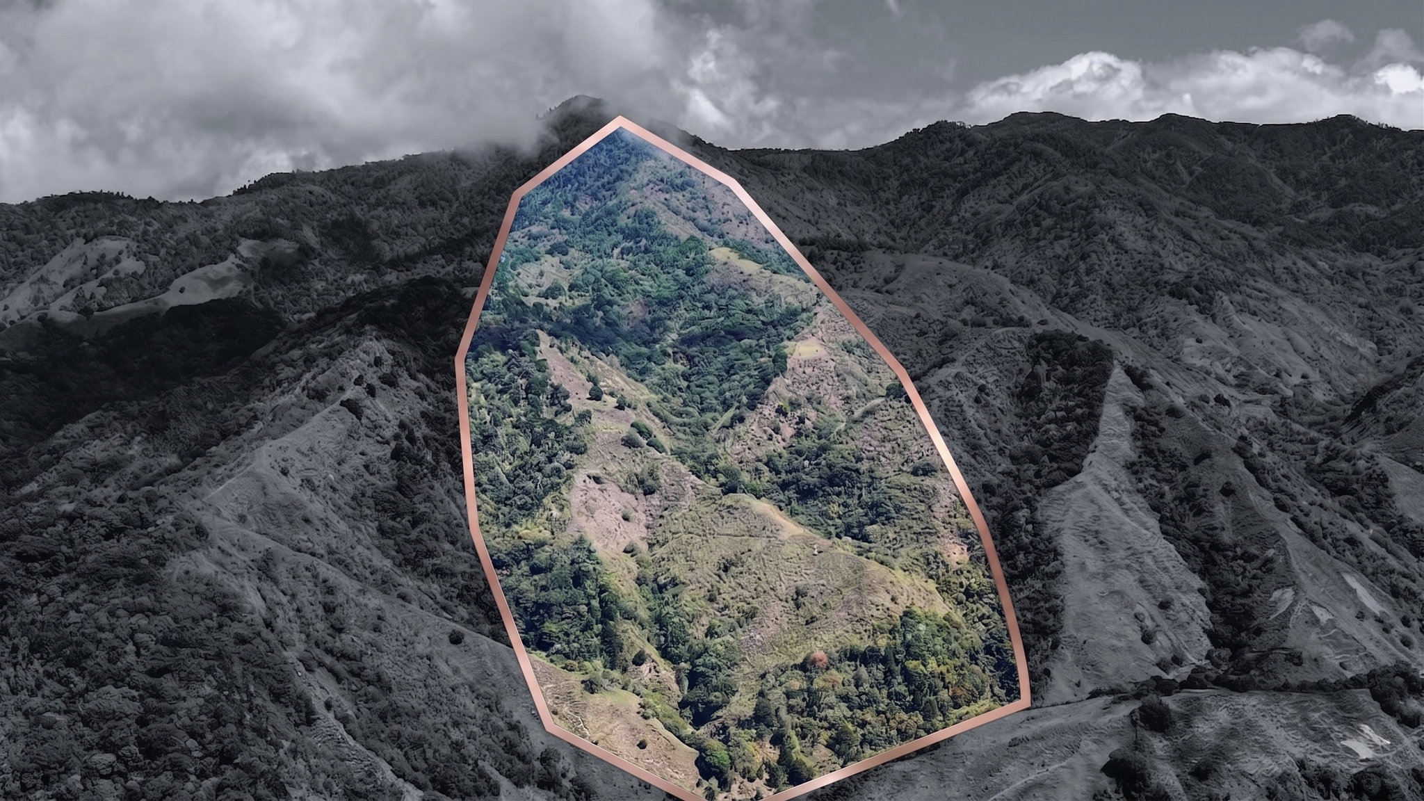 SE VENDE LA FINCA HERRADURA: RESERVA FORESTAL Y DE AGUA DE 248,6 ACRES CERCA DE CHIRRIPO