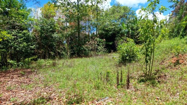 2,580 M2 LOT FOR SALE IN PEDREGOSO, CALLE CALALLO, PEREZ ZELEDON