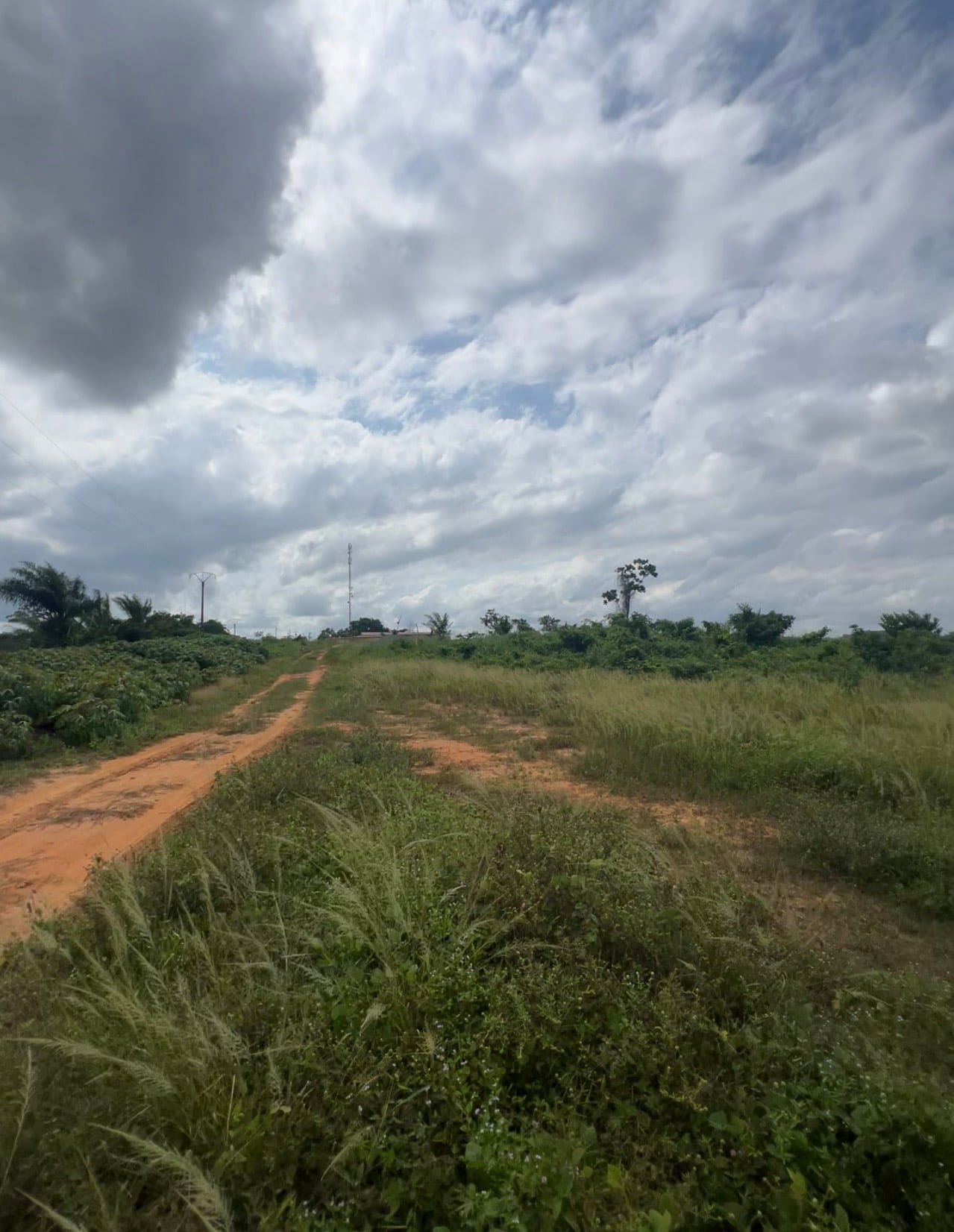 MISE EN VENTE D'UN TERRAIN DE 02 HECTARES À ANGRE 14e TRANCHE EN FACE DE BROFODOUME APRÈS LA CITÉ ADDOHA