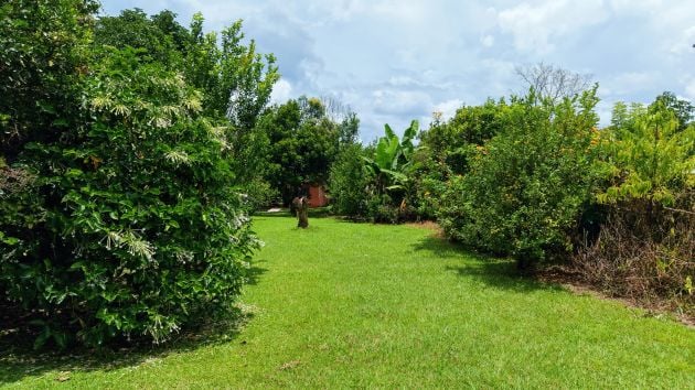 LOTE PLANO CON FRUTALES Y EXCELENTE UBICACION