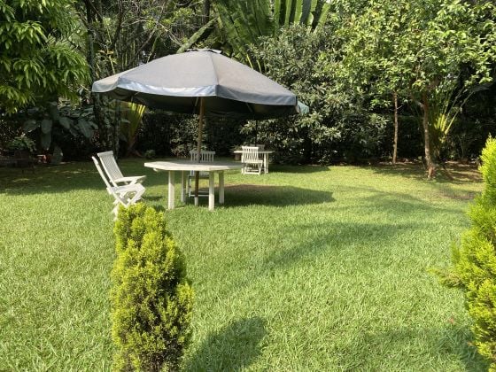 Appartement 1 chambre à louer à Lavington – ...