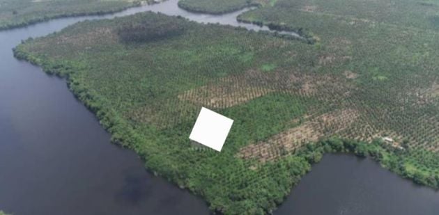 Vente terrain de 94 hectares avec Titres foncier a 35.000f/m2 a Assinie ...