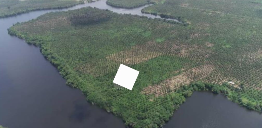 Vente terrain de 94 hectares avec Titres foncier a 35.000f/m2 a Assinie pieds dans l'eau 