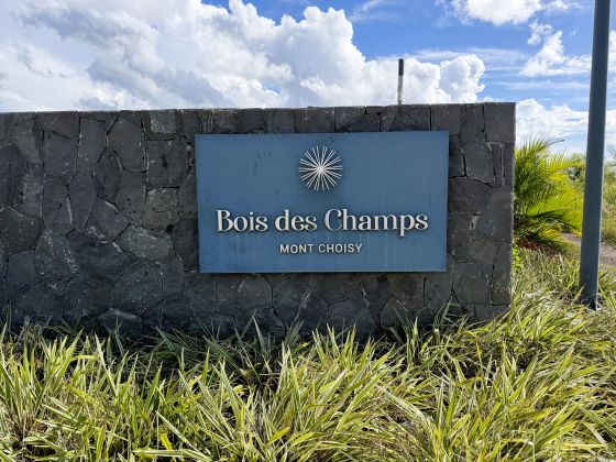 LAND FOR SALE | BOIS DES CHAMPS — MONT CHOISY SMART CITY