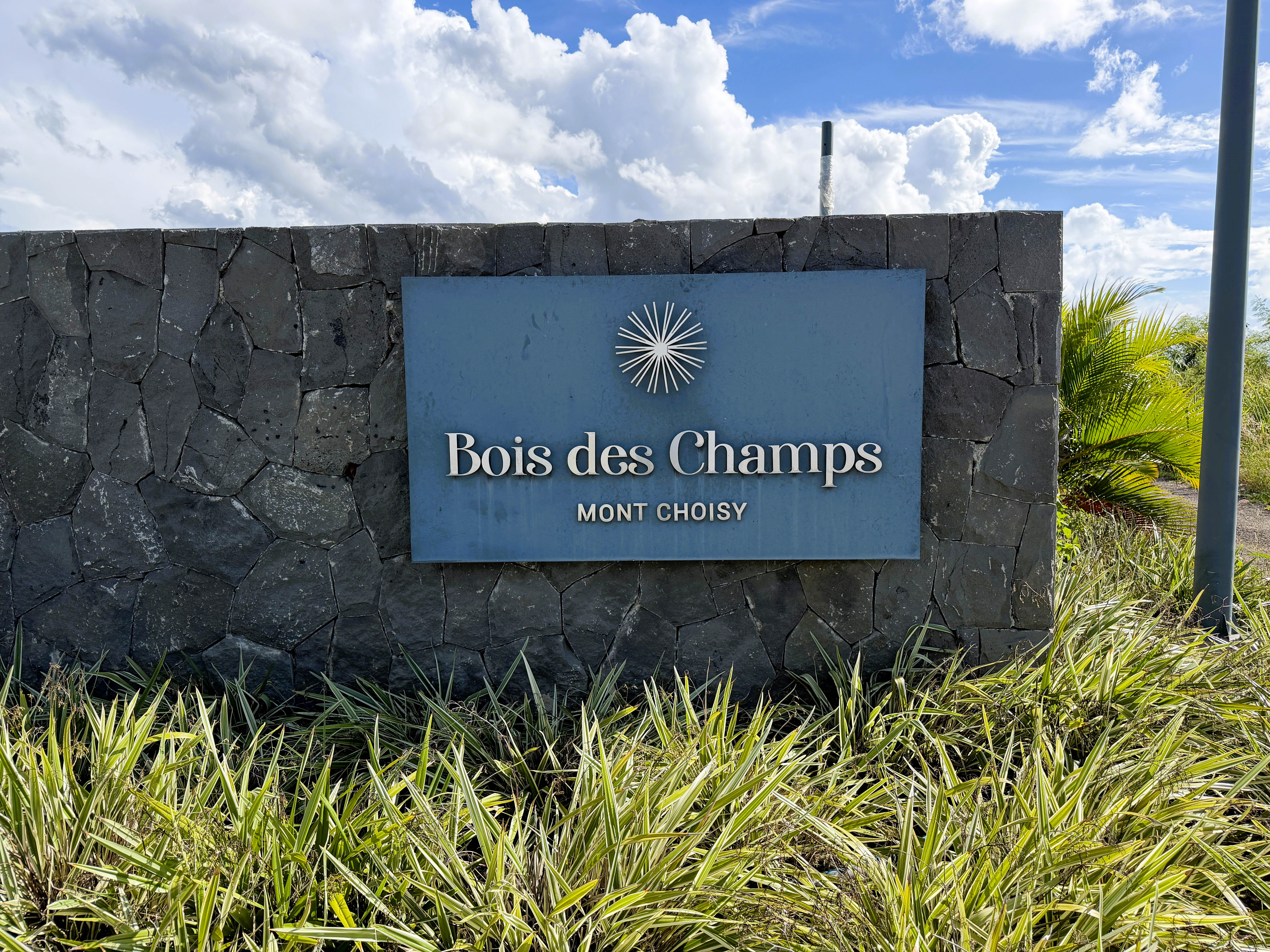TERRAIN À VENDRE | BOIS DES CHAMPS — MONT CHOISY SMART CITY