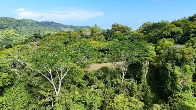 EXCLUSIVE INVESTMENT OPPORTUNITY: 20.5 ACRE FARM NEAR DOMINICAL BEACHES