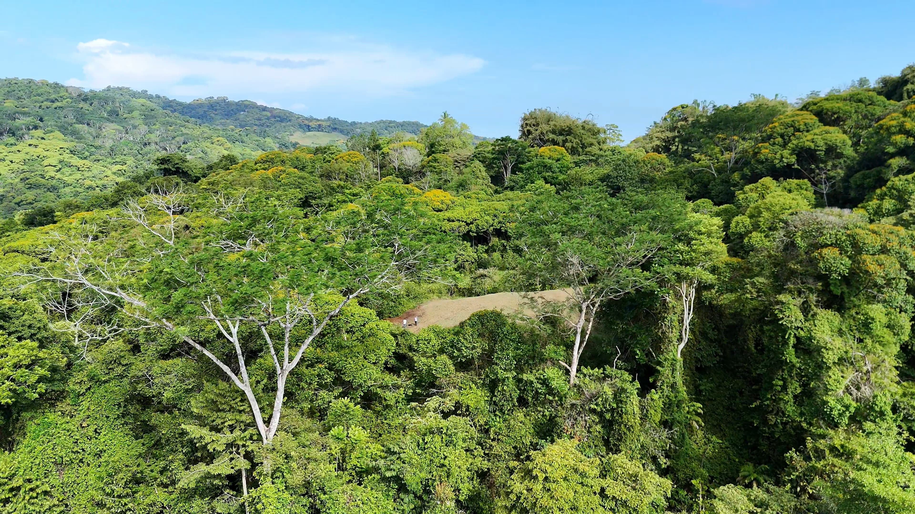 EXCLUSIVE INVESTMENT OPPORTUNITY: 20.5 ACRE FARM NEAR DOMINICAL BEACHES