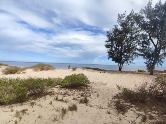 REF : VT23065 – Terrain bord de mer de 4,3 Ha à ...