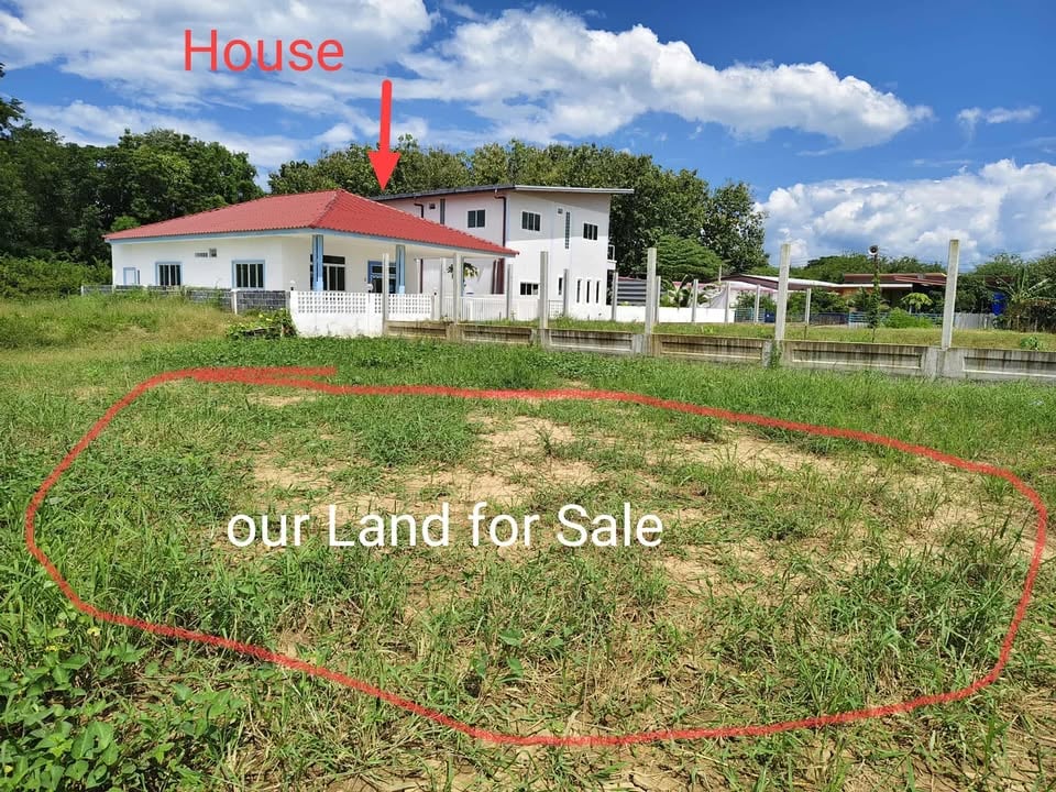 2 adjacent pieces of Land for Sale in Lom Sak, Phetchabun province