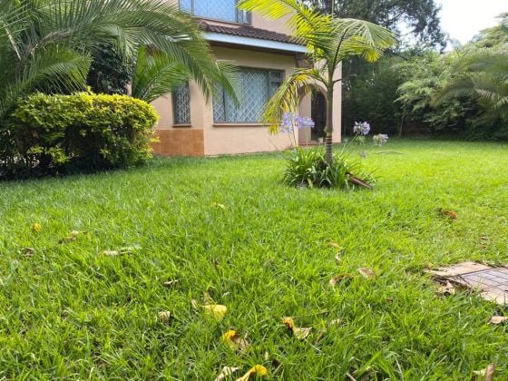 Maison de ville de 5 chambres à louer à Lavington – ...