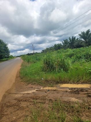 Adiaké, parcela junto a la carretera de 50 hectáreas + ...