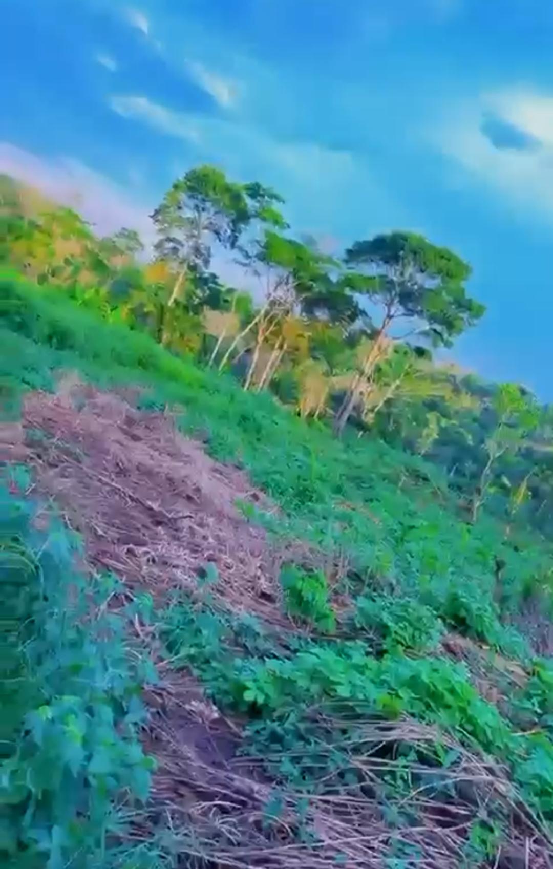 Immense Terrain Titré de 20Hectares à vendre à Nsimalen