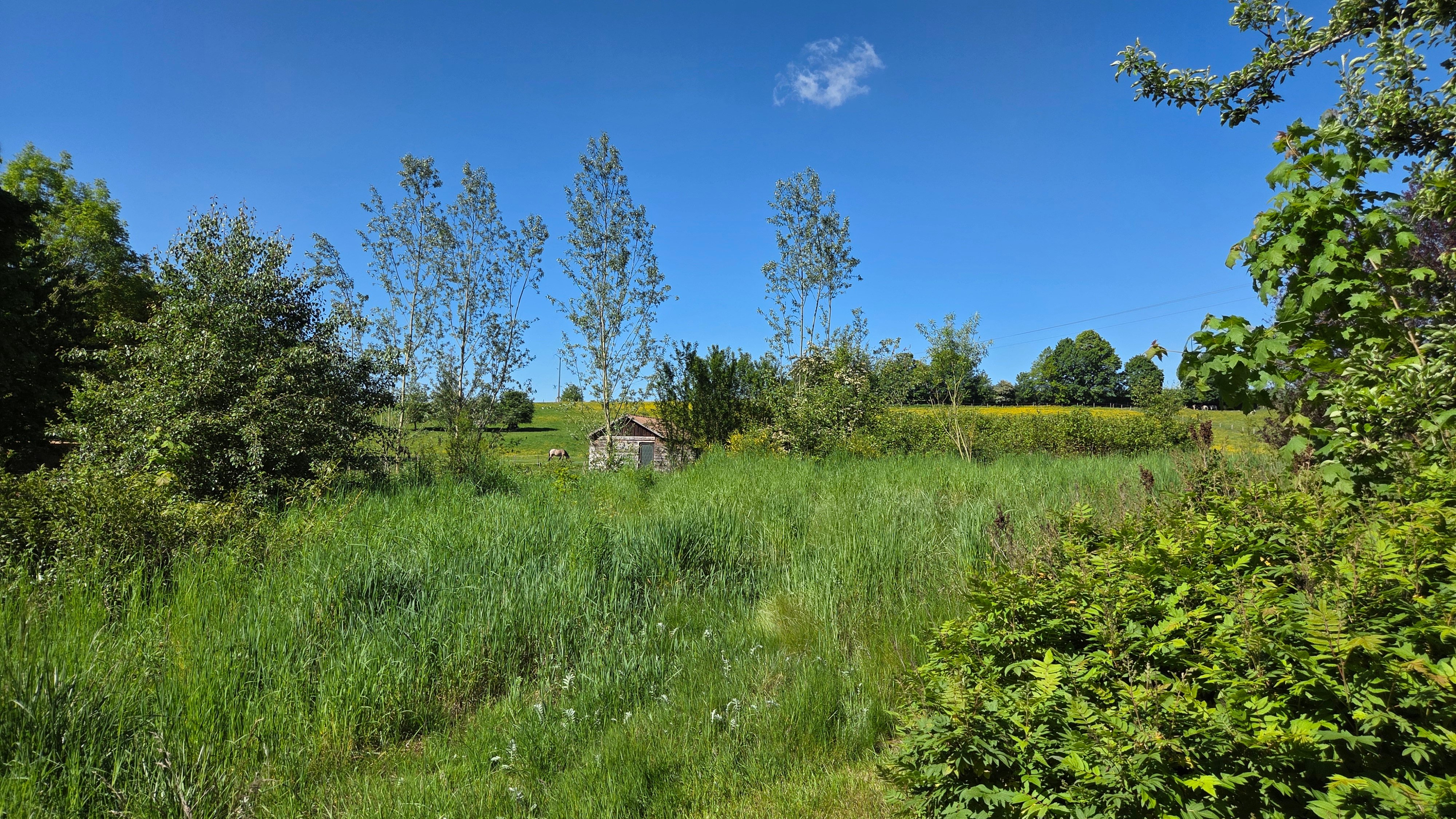 LORCY : Beau terrain situé au calme et traversé par un ruisseau, 21a69ca.