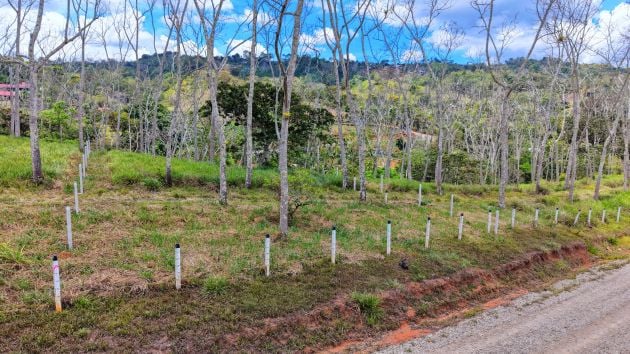 FOR SALE: PREMIUM 0.46 ACRE LOT IN SANTA ROSA, PEREZ ZELEDON