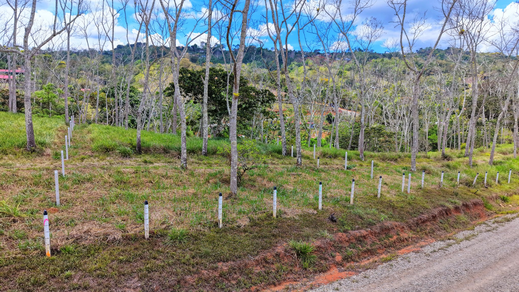 FOR SALE: PREMIUM 0.46 ACRE LOT IN SANTA ROSA, PEREZ ZELEDON